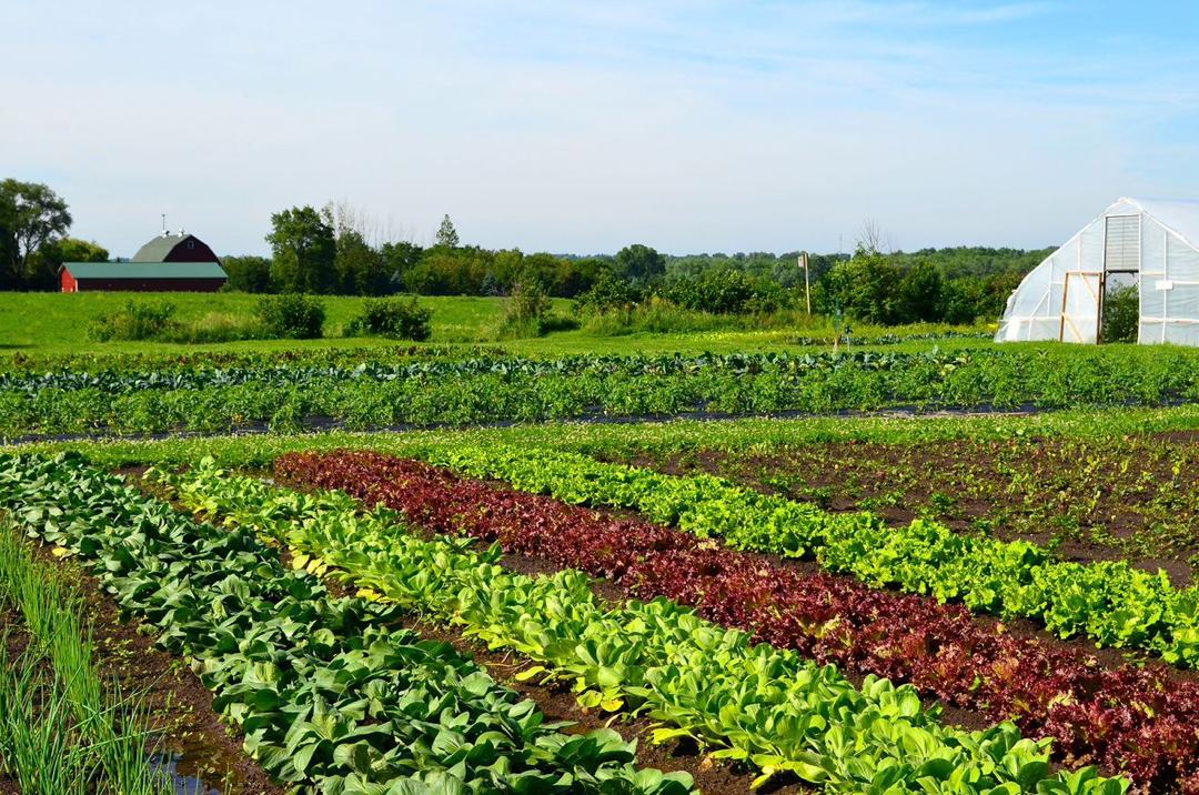 Nichkel Agriculture